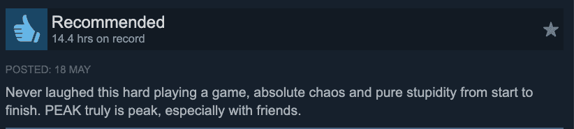 Example positive Steam review praising chaotic co-op fun